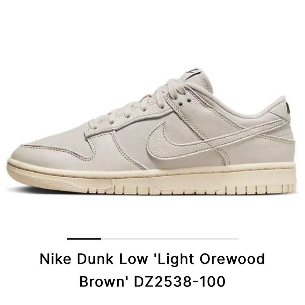 NWT Nike Dunk Low Premium